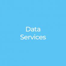 Former CDO – Data Service Company​